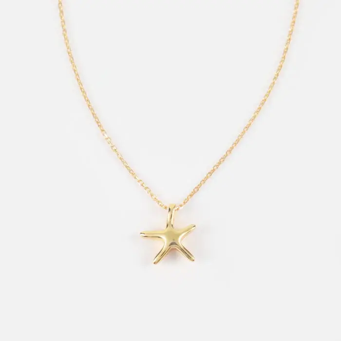Κολιέ αστερίας Mar & Mar Starfish από Ασήμι 925